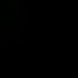 Meet your Posher, Vivian